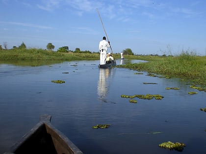 delta de lokavango