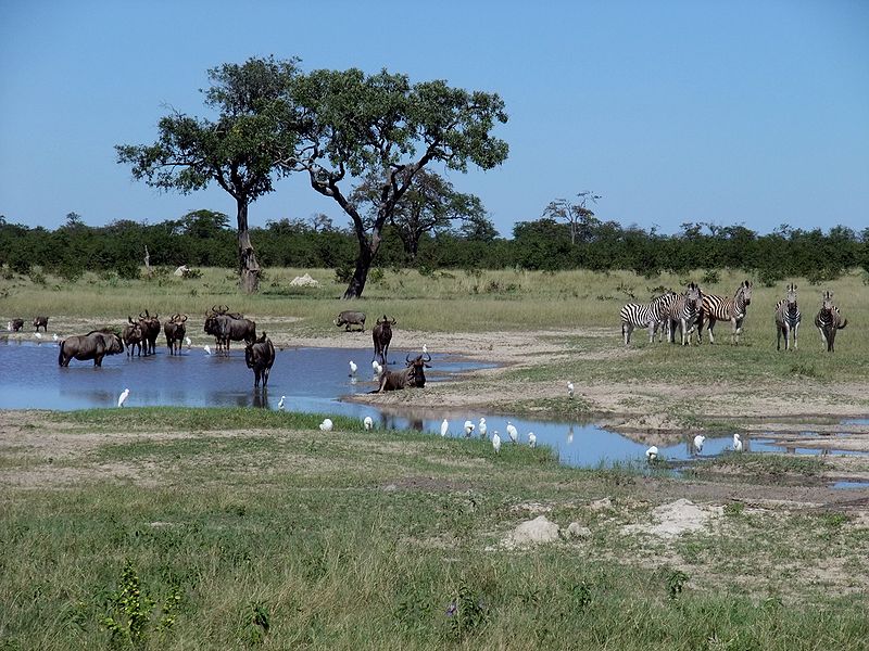 Chobe-Nationalpark