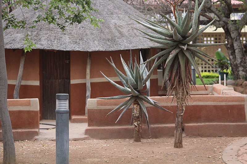 Museo nacional de Botsuana