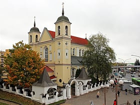 Sobor Svatyh Apostolov Petra i Pavla