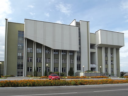 mozyr state pedagogical university masyr