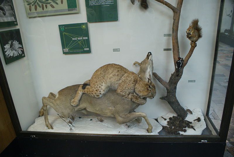 Belarusian Nature and Environment Museum