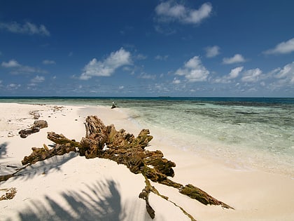 Gladden Spit and Silk Cayes Marine Reserve