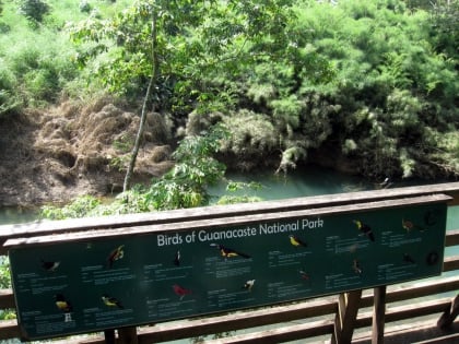 Park Narodowy Guanacaste