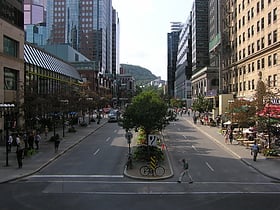 Avenue McGill College