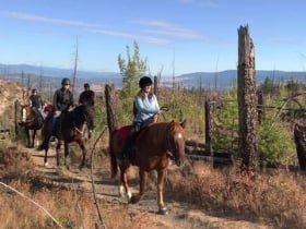 Kelowna Stables at Myra Canyon Ranch