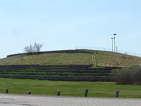 Diefenbaker Management Area