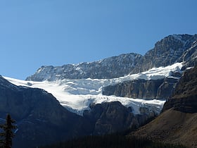 crowfoot glacier park narodowy banff