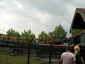 Freestyle Roller Coaster