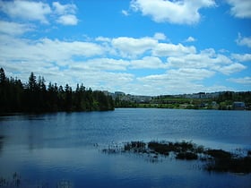 Lovett Lake