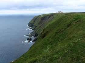 Cape St. Mary's Ecological Reserve
