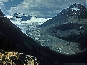 peyto glacier parc national de banff