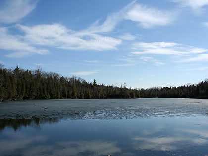 crawford lake conservation area