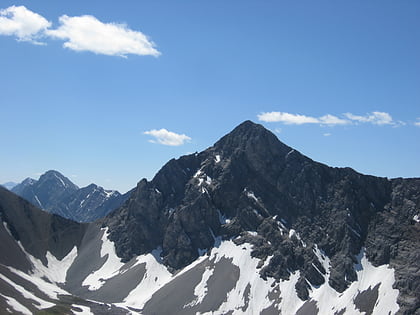 elk range elbow sheep wildland provincial park