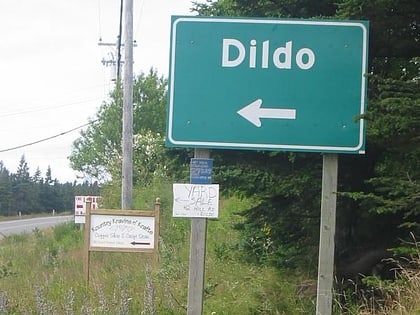 dildo