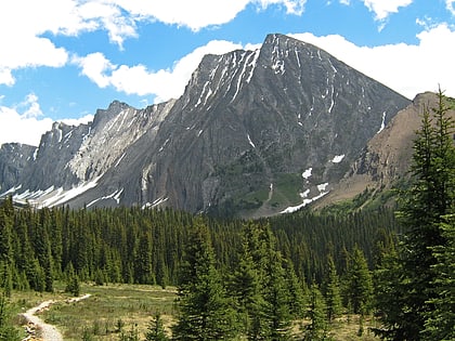 mount chester