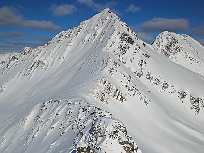 ursus minor mountain parc national des glaciers