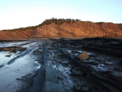 Joggins Fossil Cliffs