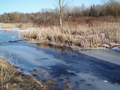 oak ridges richmond hill