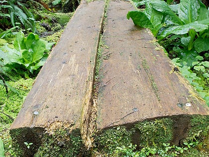 juan de fuca provincial park