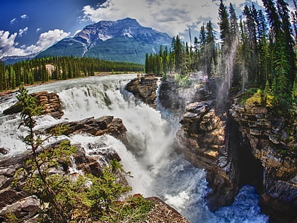 athabasca falls park narodowy jasper