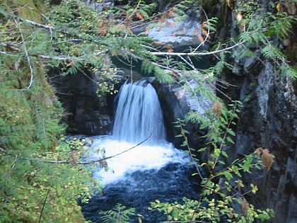 Park Prowincjonalny Little Qualicum Falls