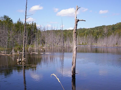 Park Prowincjonalny Mono Cliffs