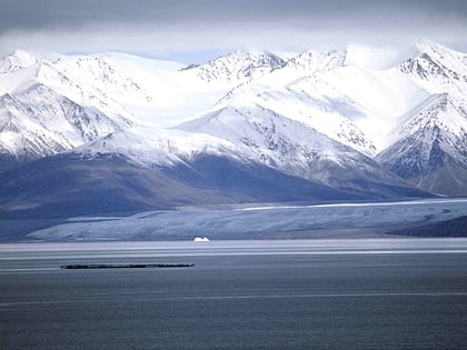 sermilik glacier bylot island migratory bird sanctuary