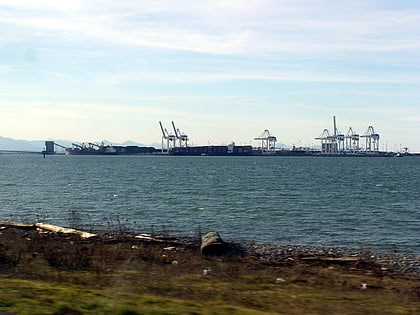 tsawwassen delta