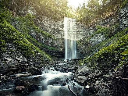 tews falls hamilton