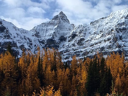 mount allen parque nacional yoho