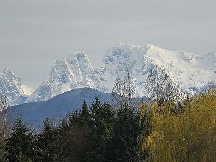 Mount Robie Reid
