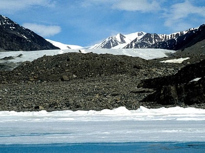 narsarsuk glacier bylot island migratory bird sanctuary
