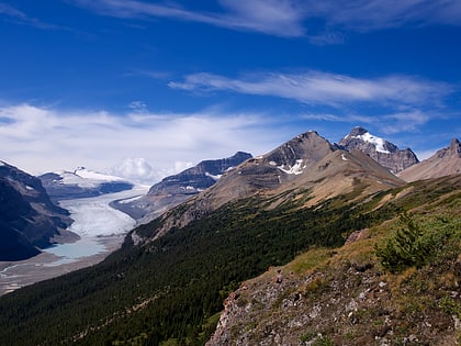 glacier saskatchewan parc national de banff