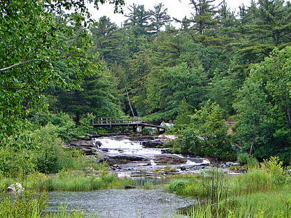 parc provincial la cloche