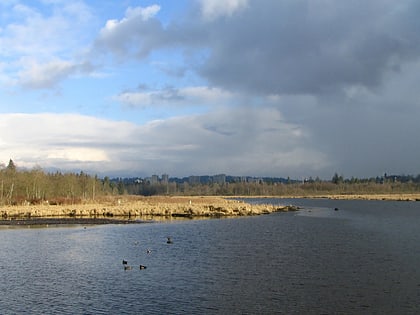 park regionalny burnaby lake