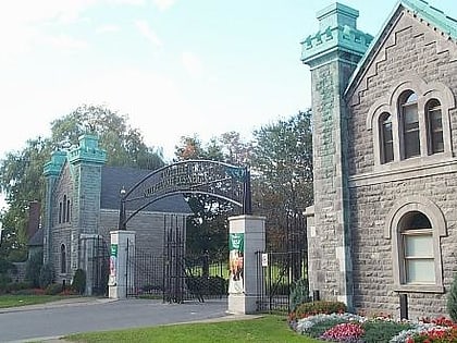 notre dame des neiges cemetery montreal