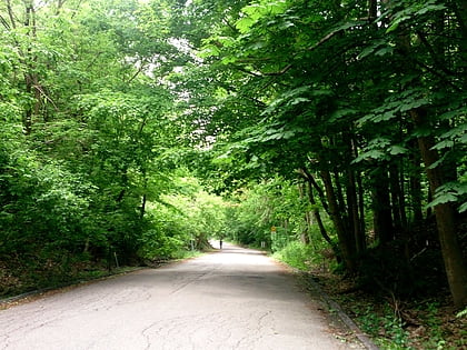 sunnybrook park toronto