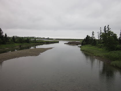 estuaire de la riviere bonaventure aquatical reserve