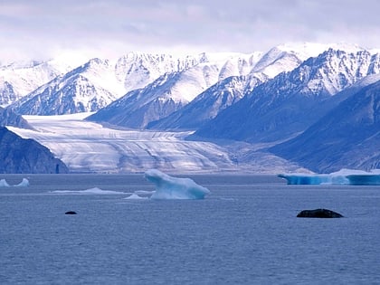 kaparoqtalik glacier bylot island migratory bird sanctuary