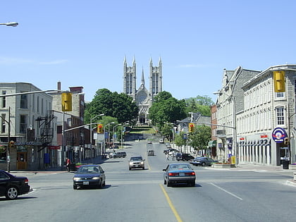 basilica of our lady immaculate guelph