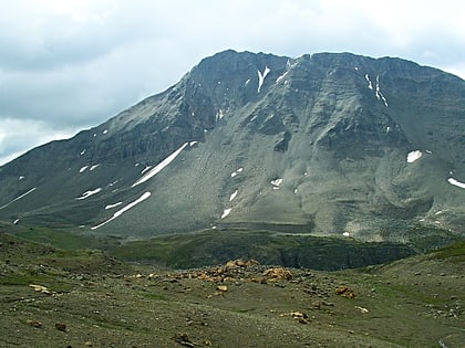 curator mountain parc national de jasper