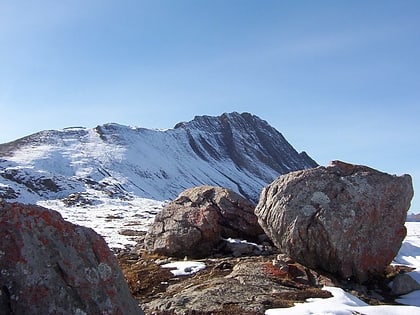 mount wilcox park narodowy jasper