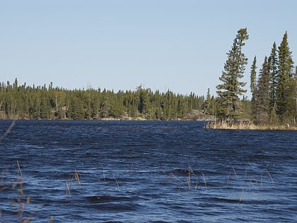 naosap mud lake