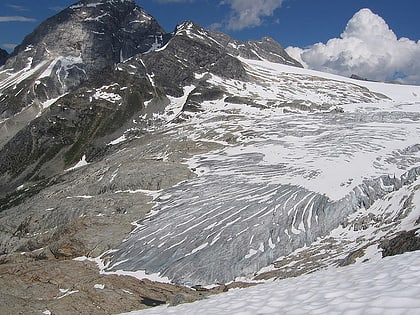 illecillewaet glacier park narodowy glacier