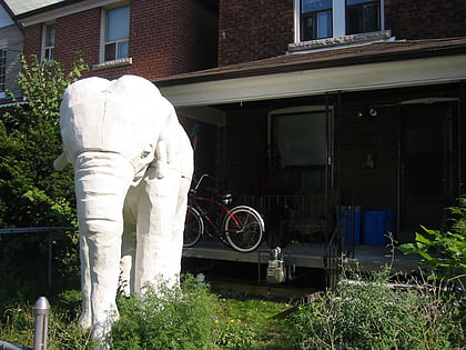 the elephant house toronto