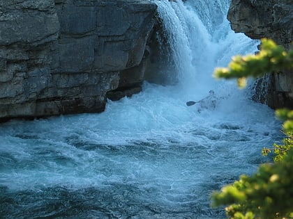 elbow falls