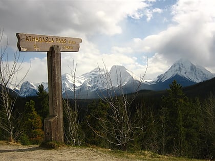 athabasca pass parque nacional jasper