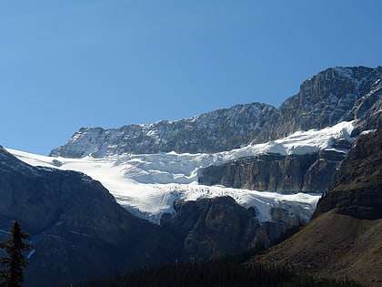 crowfoot gletscher banff nationalpark