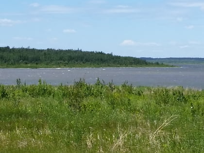 Miquelon Lake Provincial Park